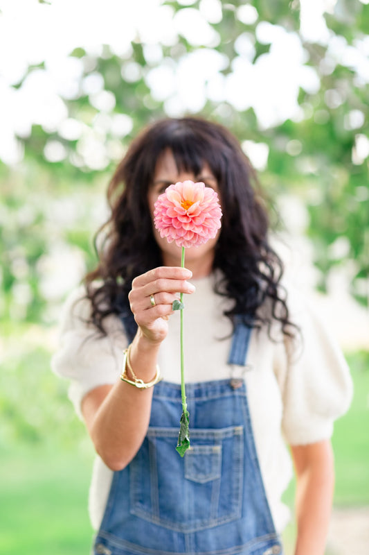My First Year Planting Dahlias