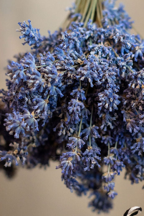 Dried Lavender Sachet
