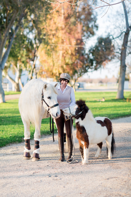Board your Horse