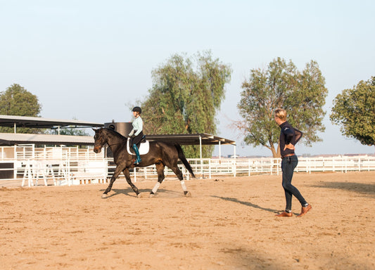 Equestrian Clinics and Events at White Star Ranch