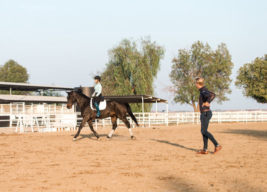Equestrian Clinics and Events at White Star Ranch