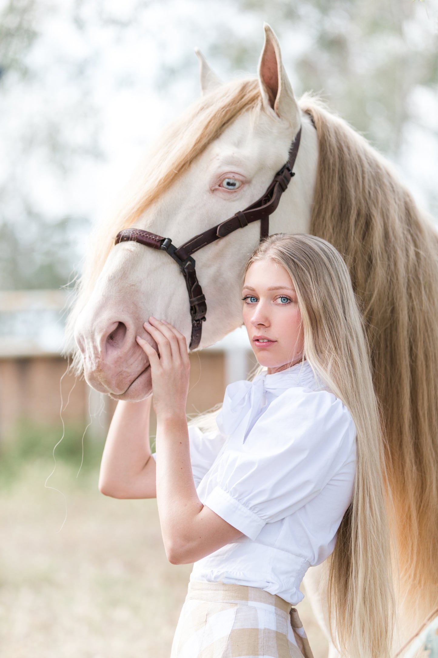 Equestrian Brand or Editorial Shoot