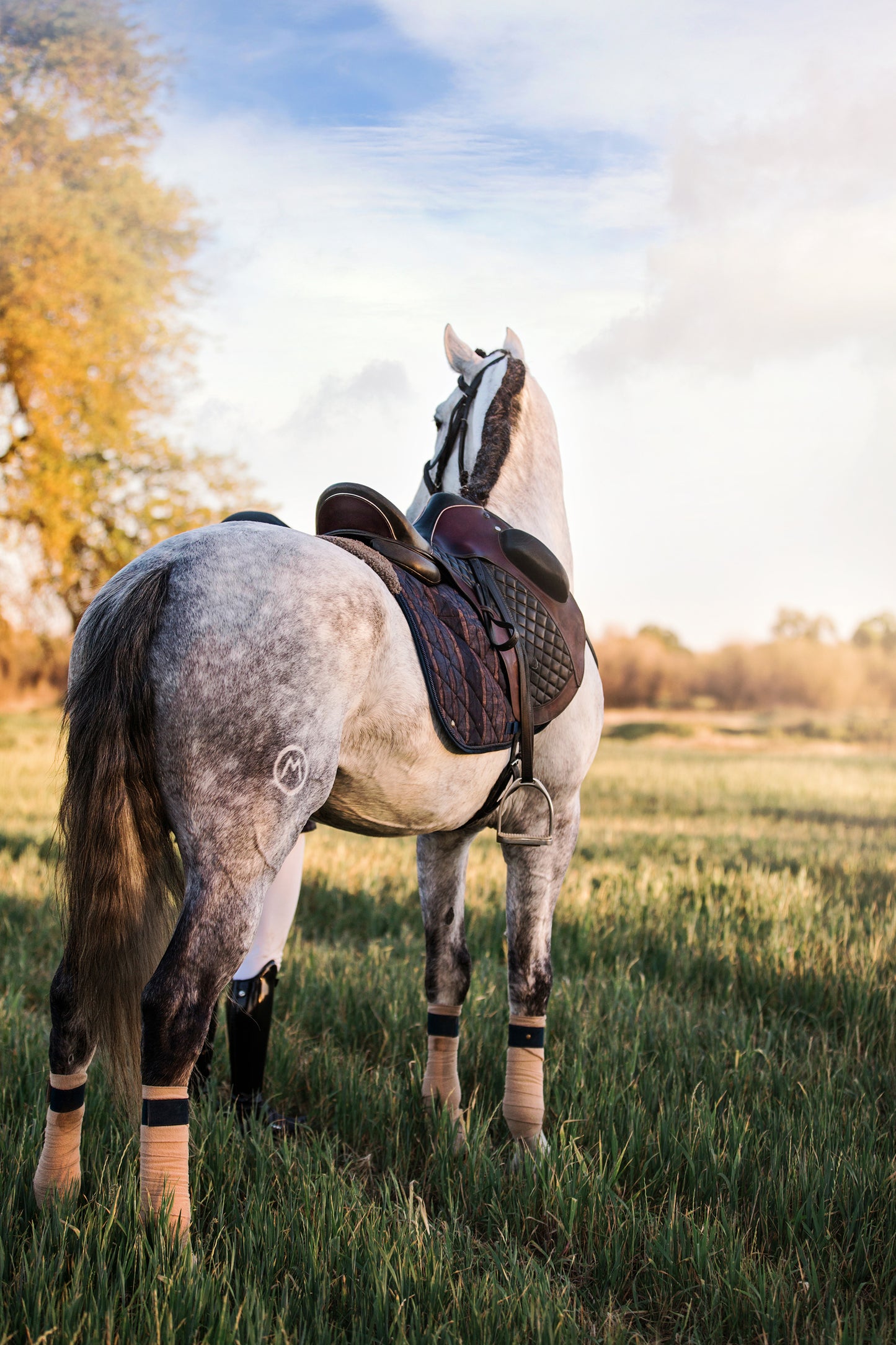 Equestrian Brand or Editorial Shoot