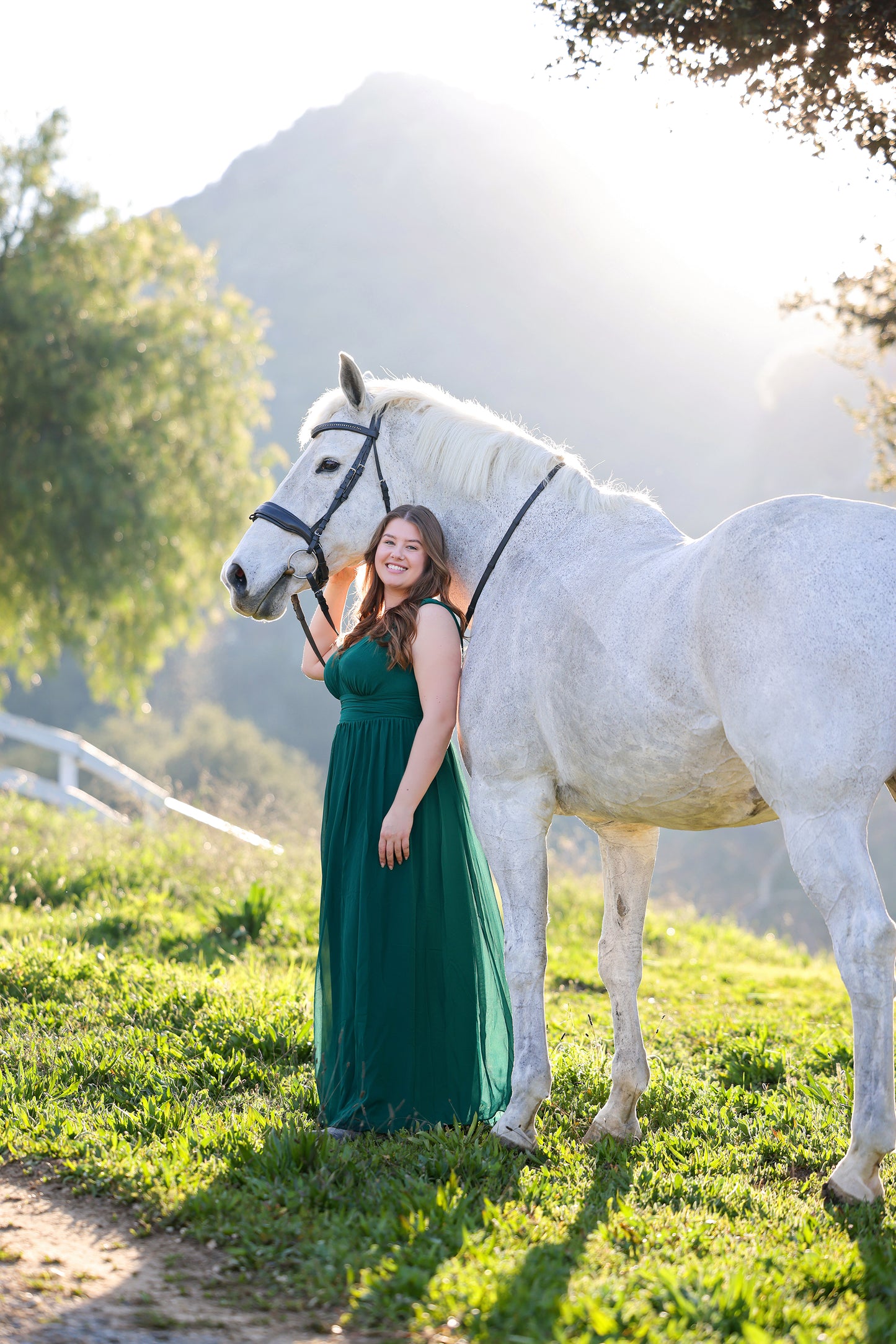 Horse & Rider Equestrian Photoshoot
