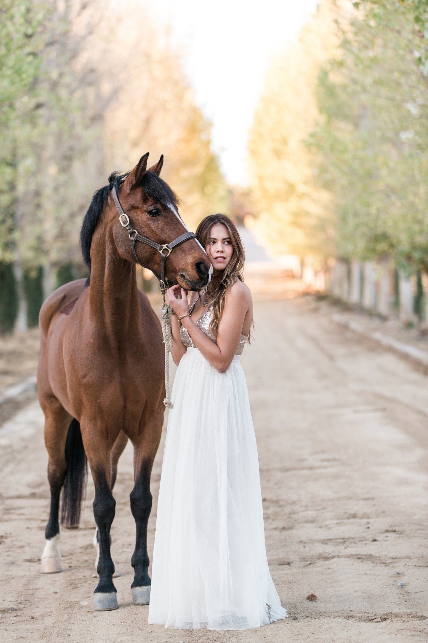Horse & Rider Equestrian Photoshoot