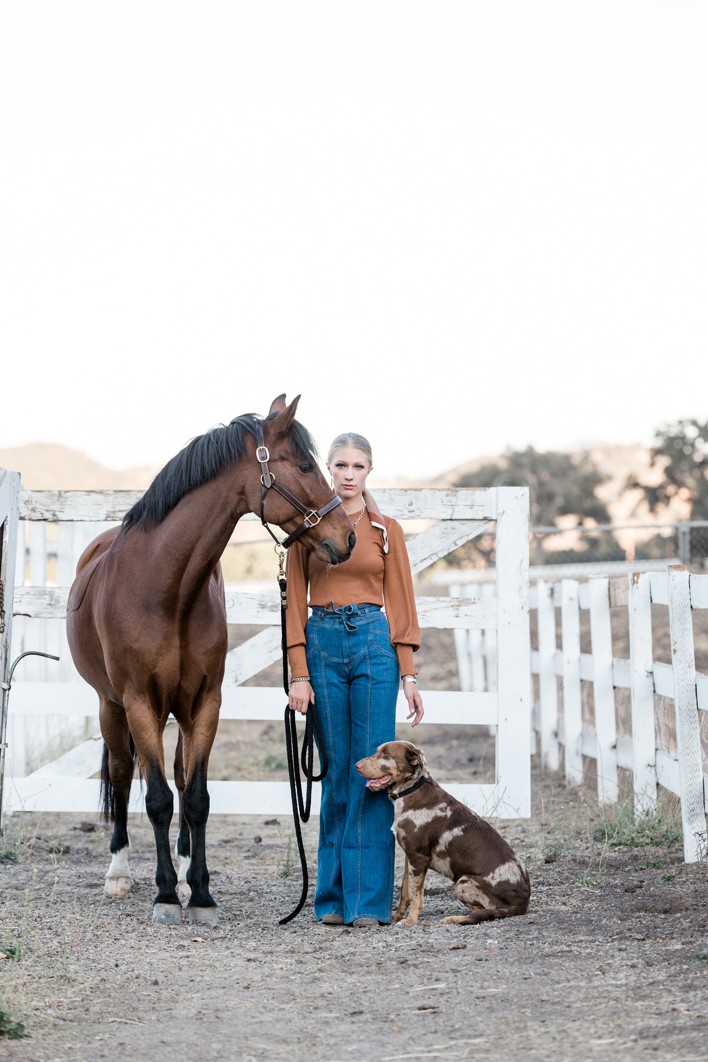Equestrian Brand or Editorial Shoot