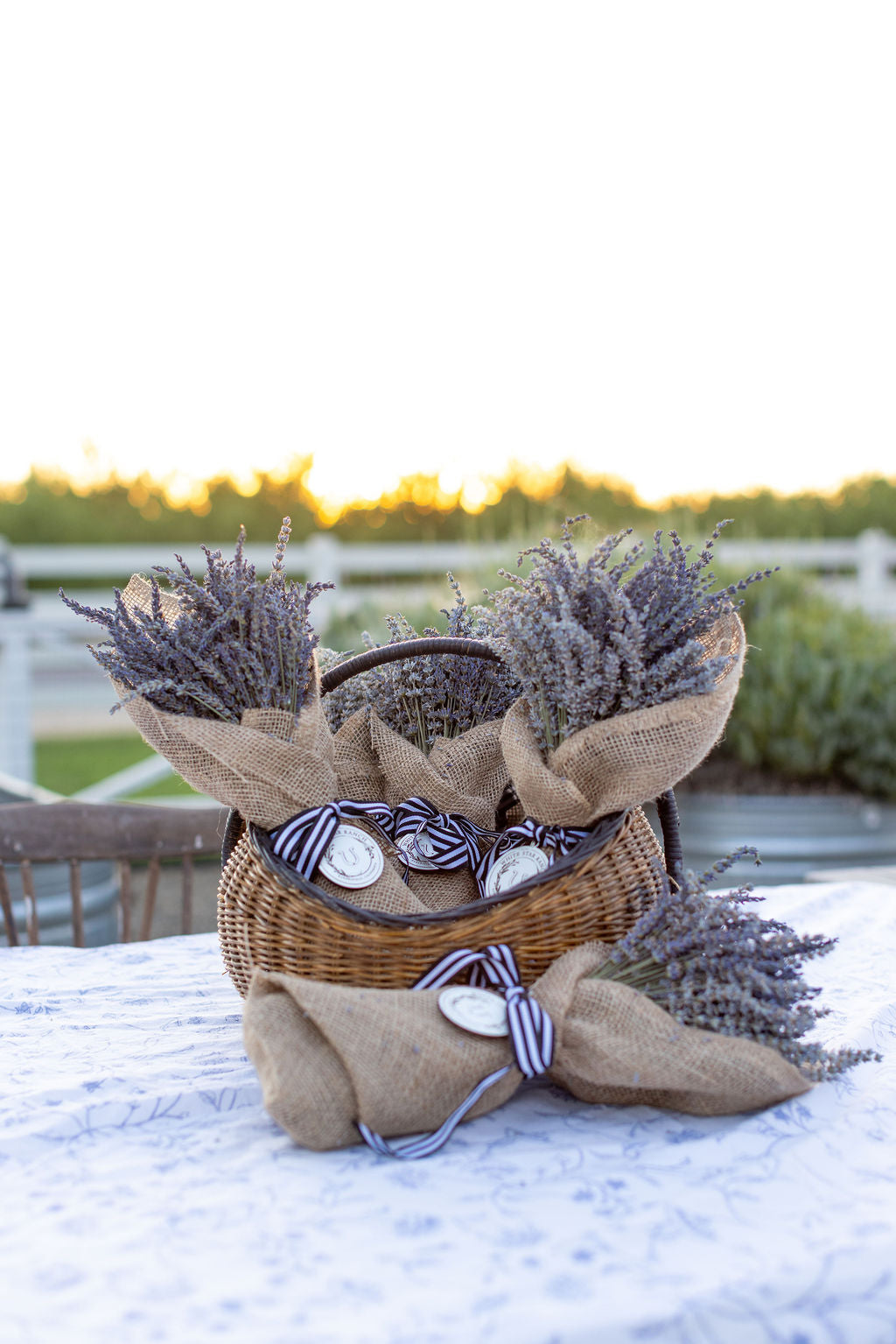 Dried Lavender Bunch