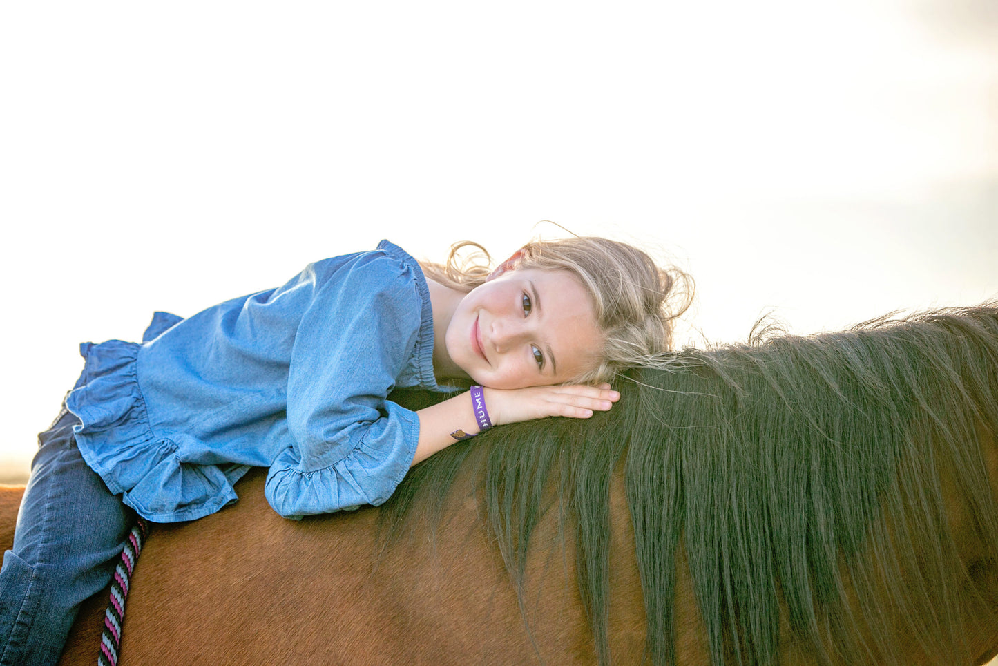 Horse & Rider Mini Equestrian Photoshoot