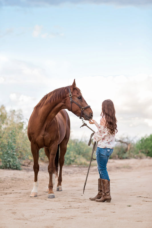 Horse & Rider Mini Equestrian Photoshoot