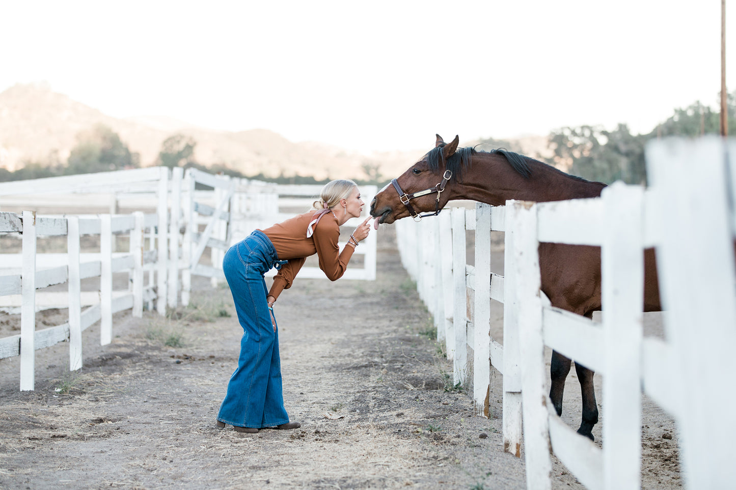 Horse & Rider Equestrian Photoshoot
