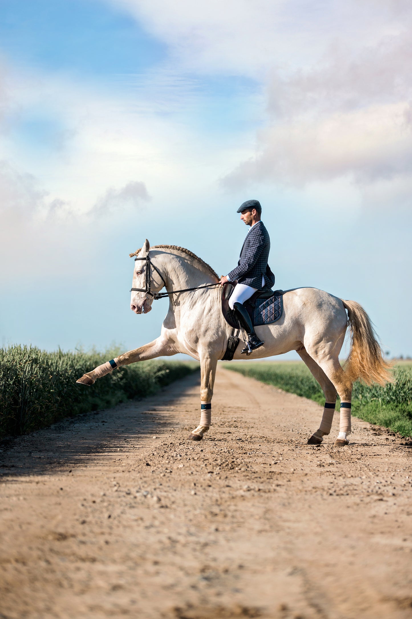 Horse & Rider Mini Equestrian Photoshoot