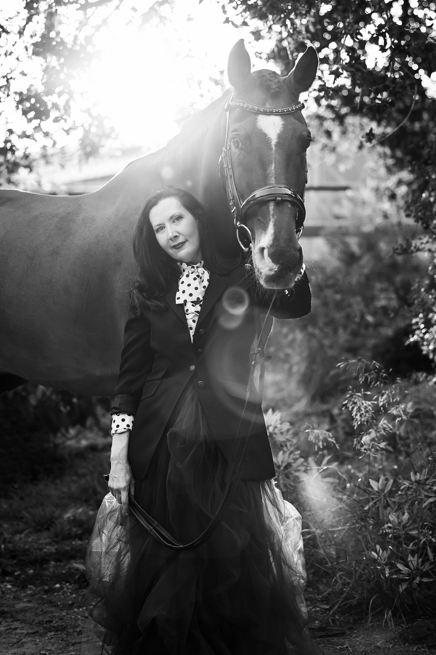 Horse & Rider Equestrian Photoshoot